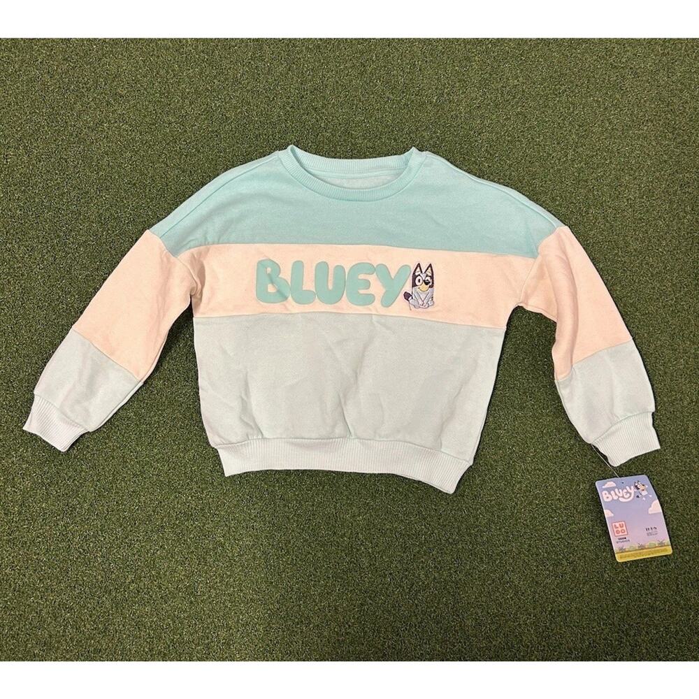 Bluey Dreamy Fleece Sweatshirt Girls XSmall Aqua Blue Colorblock Midweight LUDO